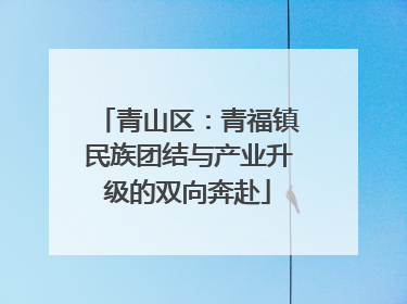 青山区：青福镇民族团结与产业升级的双向奔赴