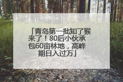 青岛第一批知了猴来了！80后小伙承包60亩林地，高峰期日入过万