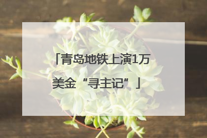 青岛地铁上演1万美金“寻主记”