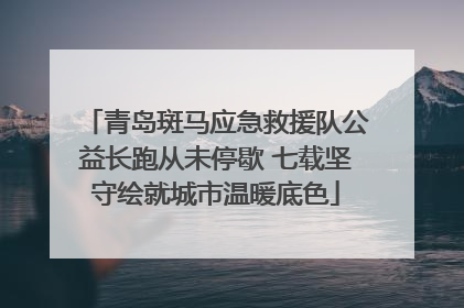 青岛斑马应急救援队公益长跑从未停歇 七载坚守绘就城市温暖底色