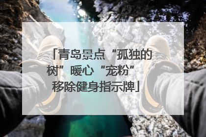 青岛景点“孤独的树”暖心“宠粉” 移除健身指示牌