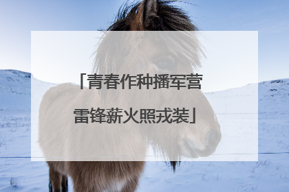 青春作种播军营 雷锋薪火照戎装