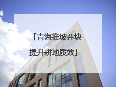 青海推坡并块提升耕地质效