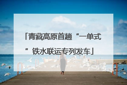 青藏高原首趟“一单式”铁水联运专列发车