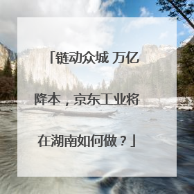 链动众城 万亿降本，京东工业将在湖南如何做？