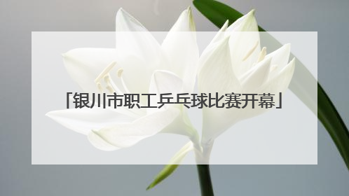 银川市职工乒乓球比赛开幕