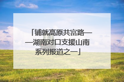 铺就高原共富路——湖南对口支援山南系列报道之一