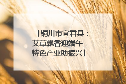 铜川市宜君县：艾草飘香迎端午 特色产业助振兴