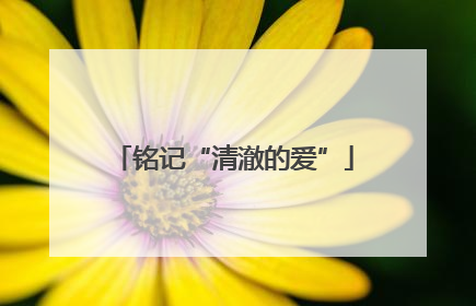 铭记“清澈的爱”