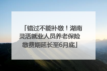 错过不能补缴！湖南灵活就业人员养老保险缴费期延长至6月底
