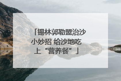 锡林郭勒盟治沙小妙招 给沙地吃上“营养餐”