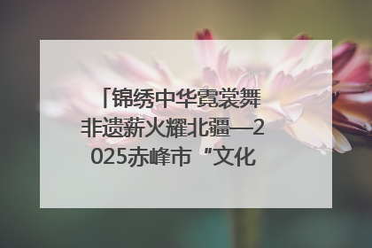 锦绣中华霓裳舞 非遗薪火耀北疆—2025赤峰市“文化和自然遗产日”非遗宣传展示活动纪实