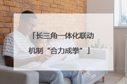 长三角一体化联动机制“合力成拳”