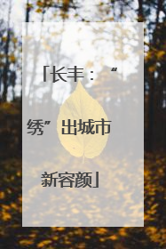 长丰：“绣”出城市新容颜