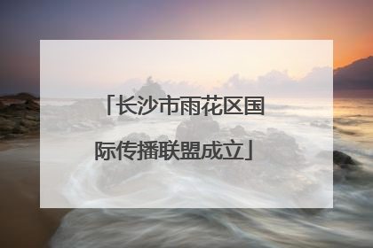 长沙市雨花区国际传播联盟成立