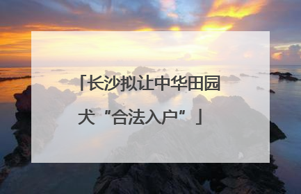 长沙拟让中华田园犬“合法入户”
