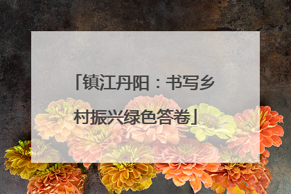 镇江丹阳：书写乡村振兴绿色答卷