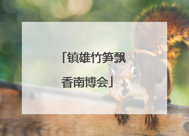 镇雄竹笋飘香南博会