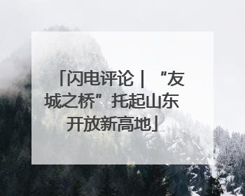 闪电评论｜“友城之桥”托起山东开放新高地