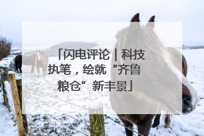 闪电评论｜科技执笔，绘就“齐鲁粮仓”新丰景