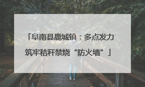 阜南县鹿城镇：多点发力 筑牢秸秆禁烧“防火墙”
