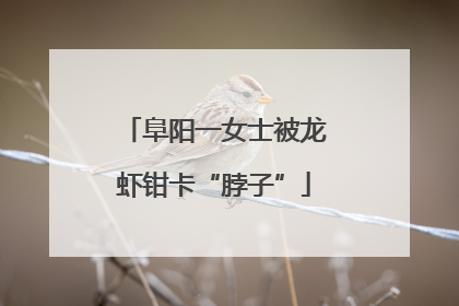 阜阳一女士被龙虾钳卡“脖子”
