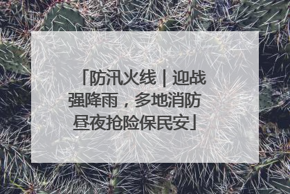 防汛火线｜迎战强降雨，多地消防昼夜抢险保民安
