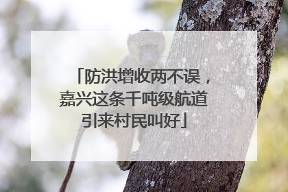 防洪增收两不误，嘉兴这条千吨级航道引来村民叫好