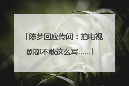 陈梦回应传闻：拍电视剧都不敢这么写……