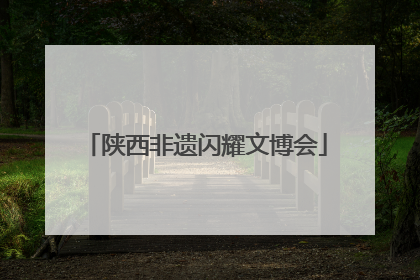 陕西非遗闪耀文博会