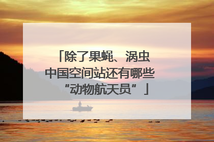 除了果蝇、涡虫 中国空间站还有哪些“动物航天员”