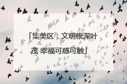 集美区：文明根深叶茂 幸福可感可触