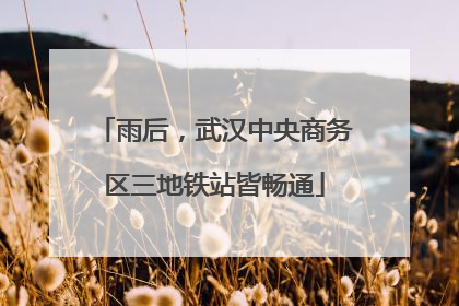 雨后，武汉中央商务区三地铁站皆畅通