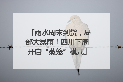 雨水周末到货，局部大暴雨！四川下周开启“蒸笼”模式