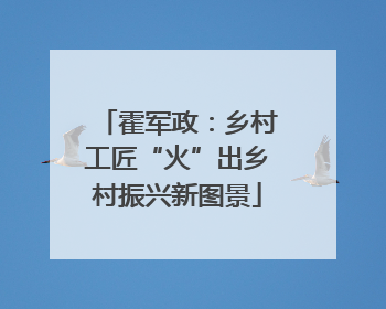 霍军政：乡村工匠“火”出乡村振兴新图景