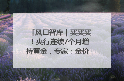 风口智库｜买买买！央行连续7个月增持黄金，专家：金价或仍易涨难跌
