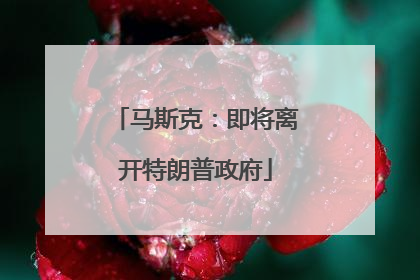 马斯克：即将离开特朗普政府