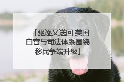 驱逐又送回 美国白宫与司法体系围绕移民争端升级