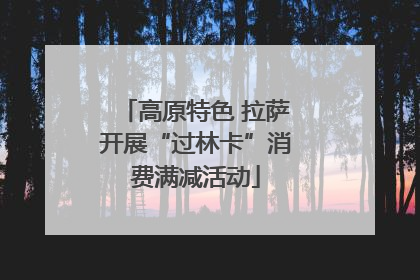 高原特色 拉萨开展“过林卡”消费满减活动