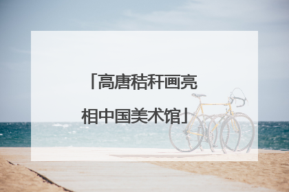 高唐秸秆画亮相中国美术馆