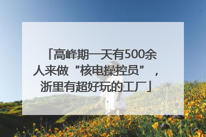 高峰期一天有500余人来做“核电操控员”，浙里有超好玩的工厂