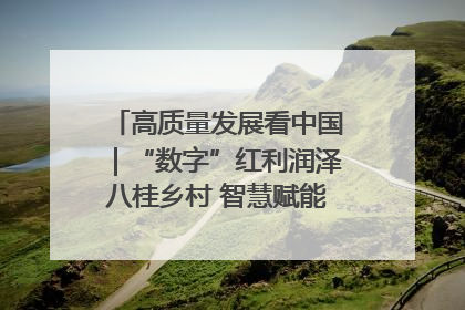 高质量发展看中国｜“数字”红利润泽八桂乡村 智慧赋能绘就振兴画卷