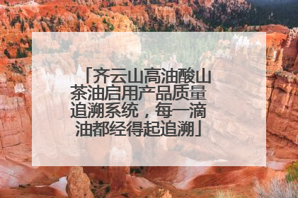齐云山高油酸山茶油启用产品质量追溯系统，每一滴油都经得起追溯