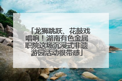龙狮跳跃、花鼓戏唱响！湖南有色金属职院这场沉浸式非遗游园活动很带感