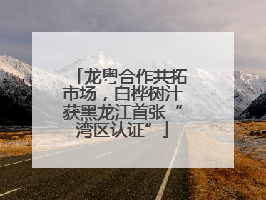 龙粤合作共拓市场，白桦树汁获黑龙江首张“湾区认证”