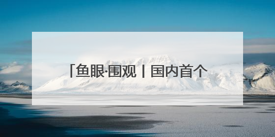 鱼眼·围观丨国内首个高考志愿大模型发布：AI填志愿，靠不靠谱？