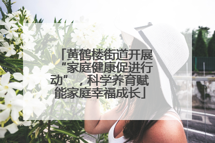 黄鹤楼街道开展“家庭健康促进行动”，科学养育赋能家庭幸福成长