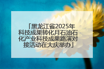 黑龙江省2025年科技成果转化月石油石化产业科技成果路演对接活动在大庆举办