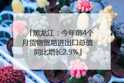 黑龙江：今年前4个月货物贸易进出口总值同比增长2.9%