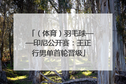 （体育）羽毛球——印尼公开赛：王正行男单首轮晋级